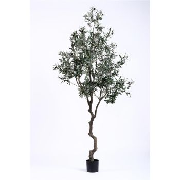 Изкуствено маслиново дърво 240 см.