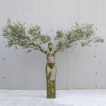 Изкуствено маслиново дърво 280 см.