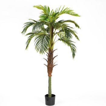  Изкуствена палма Кокос 180 см.