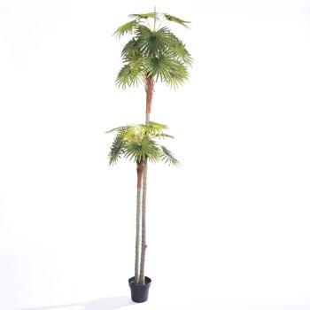 Изкуствена палма "Radix" 250см.