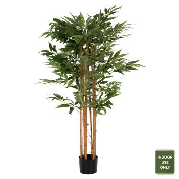 Растение HM4003 Бамбуково дърво