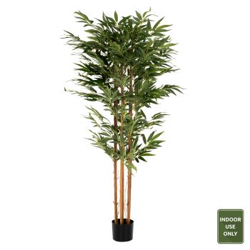 Растение HM4004 Бамбуково дърво