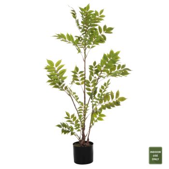 Растение Пачира HM4005 зелен цвят