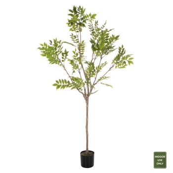 Растение Пачира HM7970 зелен цвят