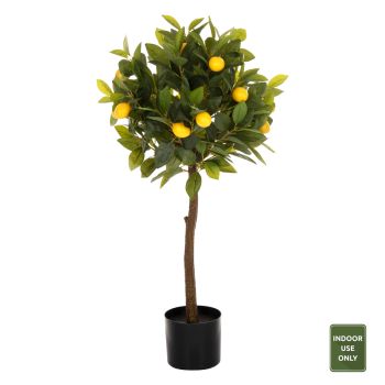 Растение Лимоново дърво HM4019 цвят зелен-жълт
