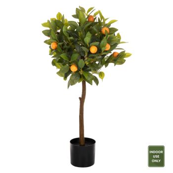 Растение Портокалово дърво HM4021 цвят зелен-оранжев