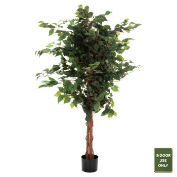 Растение HM7992 Дърво