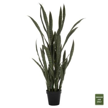 Растение Сансевиерия HM7994.02 зелен цвят 