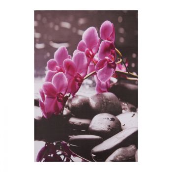 Картина HM7154.12 Розова орхидея